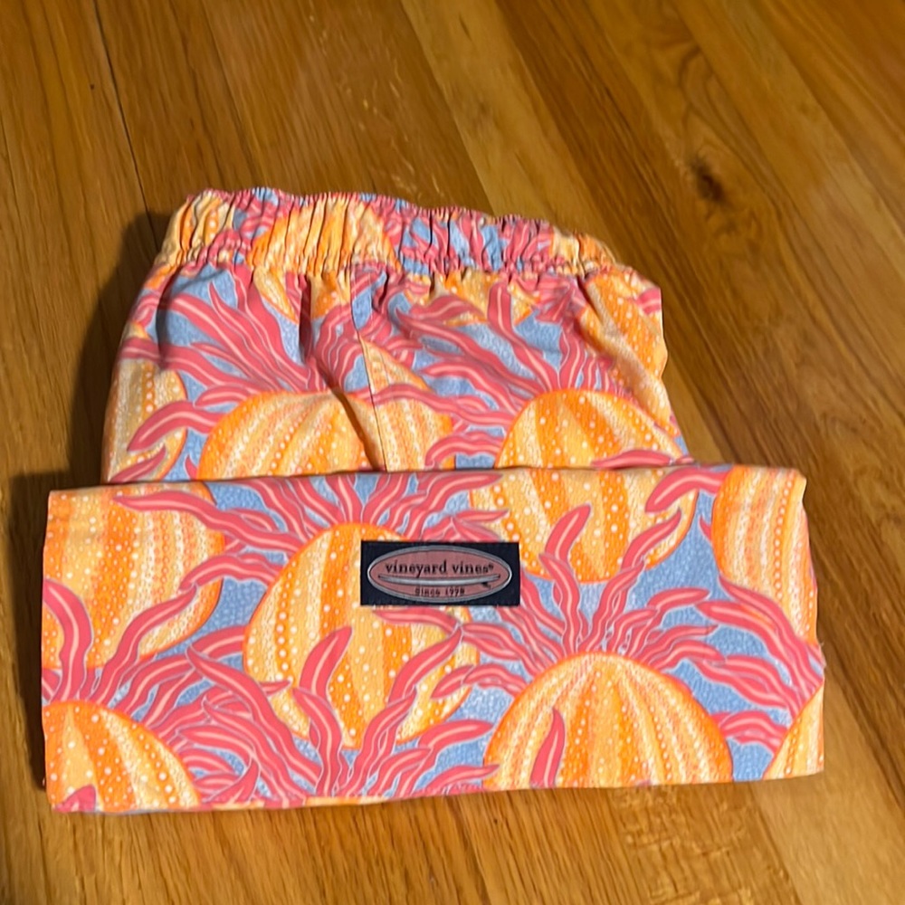 Vineyard Vines Bathing Suit + Carrying Case